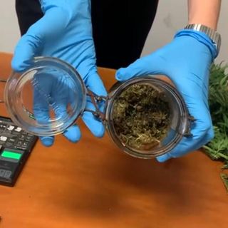 Candia, producevano droga in casa: padre e due figli denunciati