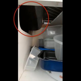La droga stava nel sottofondo del lavello, ma non è bastato a ingannare il fiuto di Jackie [FOTO e VIDEO]