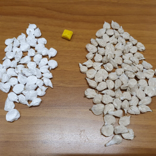 Castigliole Torinese, blitz a casa dello spacciatore: sequestrati 11 chili di droga
