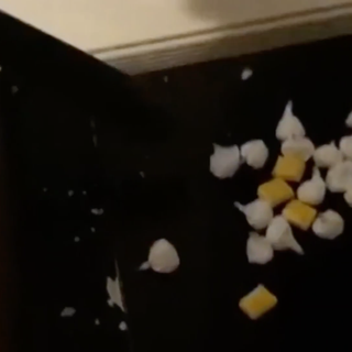 Droga nascosta nei raccoglitori dell'immondizia: arrestato spacciatore in monopattino di via Cigna [VIDEO]