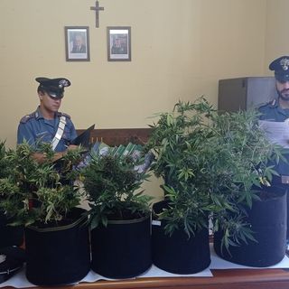 droga sequestrata carabinieri