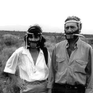 Sabato 20 gennaio al Castello di Rivoli protagonisti opere e video di Maria Thereza Alves e Jimmie Durham