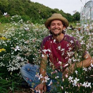 Per un bel balcone in fiore, le donne di San Salvario a lezione dal botanico dei giardini medievali