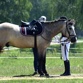 Cade da cavallo, ferite e traumi per una donna di 33 anni a Giaveno