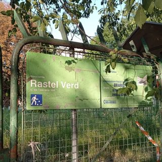Ex bocciofila Rastel Verd nuovo bosco urbano? "Qui l’erba è alta tre metri"