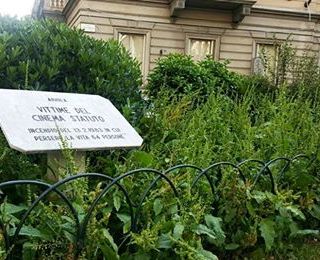 Erba alta a Torino, è scontro tra Appendino e Circoscrizioni