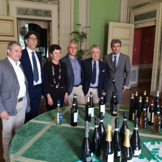 Il Canavese brinda con il suo Erbaluce a un'annata da ricordare