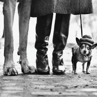 Elliott Erwitt arriva alla Palazzina di Caccia di Stupinigi