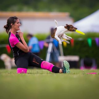 Salvato dal canile diventa campione di disc dog. L’avventura di Walky ed Eva negli Usa
