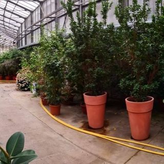 Il complesso Bonafous a Chieri al centro di un ambizioso progetto di sviluppo