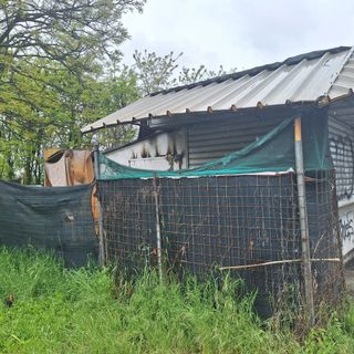 chiosco