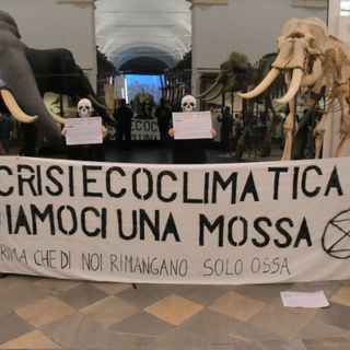 "Diamoci una mossa, prima che di noi rimangano solo ossa”, blitz di Extinction al Museo di Scienze Naturali [FOTO]