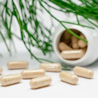 Caratteristiche Biochimiche e Fisiologiche del Testosterone Undecanoato: Approfondimento e Considerazioni