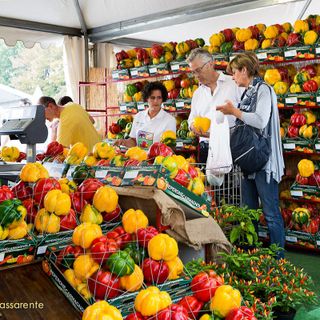 Venerdì al via la 70esima Fiera del Peperone di Carmagnola