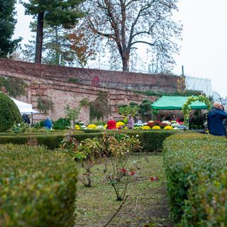 fiorile - foto d'archivio