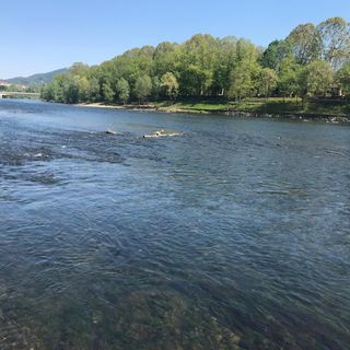 Soluzioni alternative e innovative per salvaguardare la biodiversità fluviale