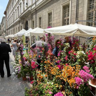 Flor incanta e colora Torino, chiusa l'edizione primaverile: appuntamento a ottobre alla Palazzina di Caccia di Stupinigi