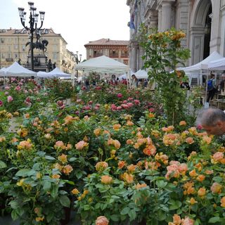 Torino riabbraccia la natura, nel weekend in via Roma torna Flor20