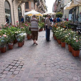 Torna FLOR a Torino: appuntamenti da venerdì 25 a domenica 27 maggio