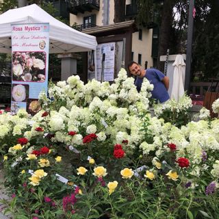 Flor Estate sale in quota: domenica 12 luglio l'evento arriva a Bardonecchia