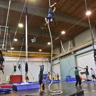 Il sogno di diventare artisti circensi: al via le audizioni della FLIC Scuola Circo