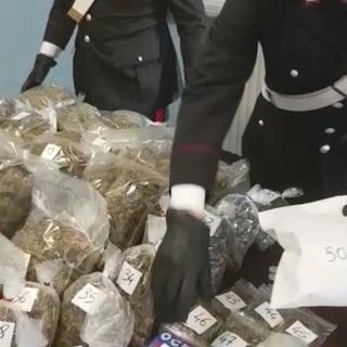 Cani e telecamere a proteggere la marijuana: carabinieri scoprono il &quot;fortino della droga&quot;