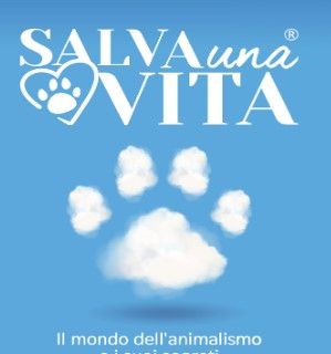 Lotta alla droga, la Polizia sequestra 20 chili di hashish
