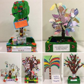Albero dei Sogni: ecco i sei vincitori del web