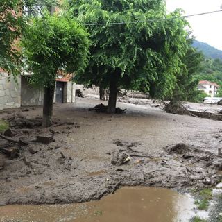 Courtesy foto Croce Rossa
