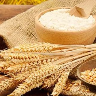 Coldiretti: «Dal progetto di filiera “Gran Piemonte” in arrivo 300mila quintali di frumento tenero»