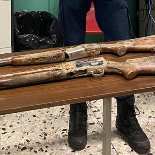 fucili ritrovati a moncalieri