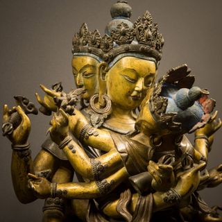La Fondazione Torino Musei pubblica cerca il nuovo direttore del Mao