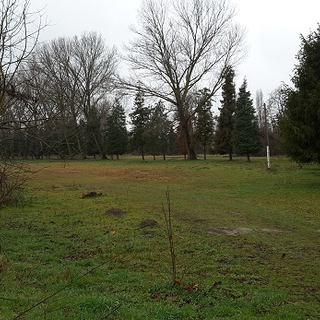 Appendino: “Entro fine settembre restituito per intero alla città il Parco del Meisino”