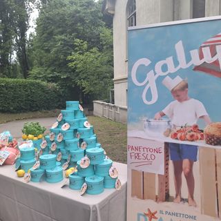Viaggio alla scoperta del panettone Galup, orgoglio piemontese e nazionale