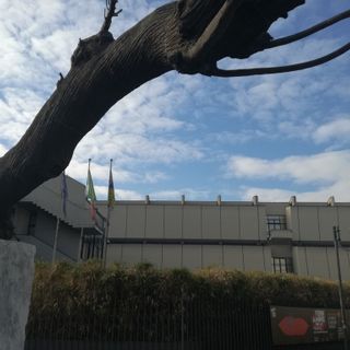 La parola del docente: &quot;Vengo da Genova per studiare qui, la chiusura della biblioteca della Gam mi addolora&quot;