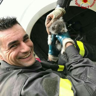 Bambina torinese salva la vita a un gattino
