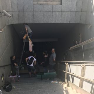 Gatto intrappolato nella metropolitana di Re Umberto, in arrivo i tecnici Gtt: gli aggiornamenti (VIDEO)