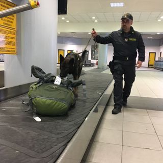 Controlli della Gdf all'aeroporto di Caselle: due persone nei guai