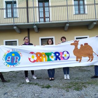 numinato licari