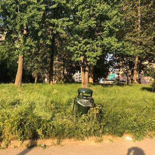 &quot;Gli Stivali del Gatto&quot; torna nei giardini della Circoscrizione 5