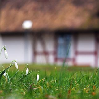 Crea la tua oasi di relax nel giardino: consigli e suggerimenti