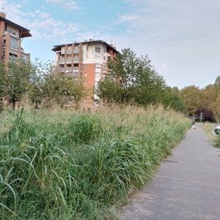 L'area verde di via Geymonat assomiglia ad una giungla