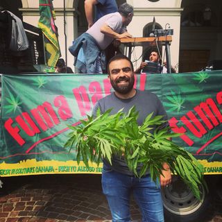 Canapa terapeutica, Grimaldi (LUV): &quot;Da gennaio pazienti senza farmaci bloccati alla dogana. DOCG canapa per garantire cure&quot;