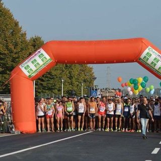 Vinovo, tutto pronto per la hippo run: di corsa tra mezza maratona, 10 km e 5 km