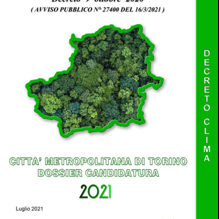 Bando forestazione, 70mila nuovi alberi in arrivo sul territorio metropolitano