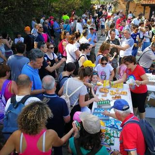 Anche la festa di Abbadia Alpina sale sui pedali
