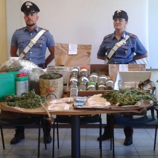 In garage e mansarda serre per la produzione di marijuana