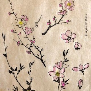 &quot;Fiori di ciliegio&quot;, Kono Barei