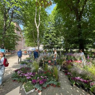 Flor Primavera torna ai Giardini Reali di Torino e alla Cavallerizza Reale: oltre 100 vivaisti in esposizione