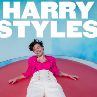 Grande attesa per i fan di Harry Styles, in concerto questa sera al Pala Alpitour